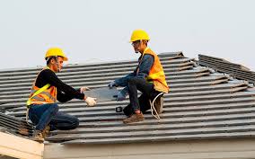 Best Roof Ventilation Installation  in Rayne, LA